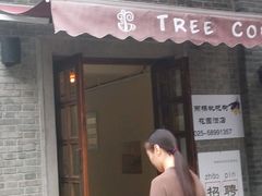 -两棵枇杷树
