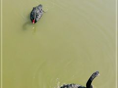-南大港湿地风景区