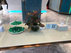 -清颜专业祛痘连锁店