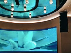 -吉阳酒店(奥山店)