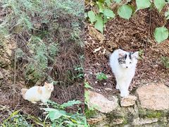 -云峰山自然风景区