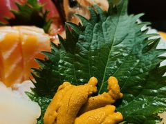 海胆刺身-炙柒Sekinana·精致料理 烧鸟·铁板烧(海上世界店)