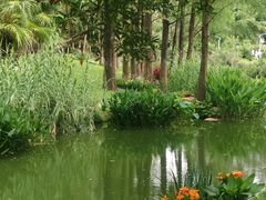 -人民公园(罗湖区)