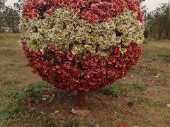 -济南国际园博园