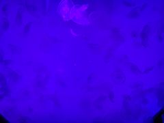 -沈阳海洋探索中心