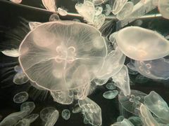 -多彩贵州城极地海洋世界