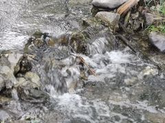 -白水寺森林公园