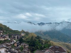 -杨家堂村