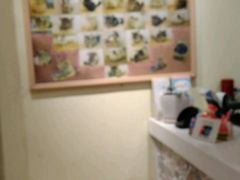 -龙猫仔乐园(惠福东路店)