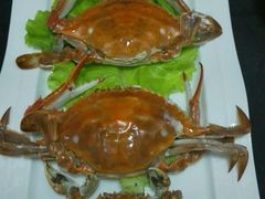 -船歌鱼水饺(淄博万象汇店)