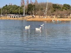 -佛手湖郊野公园