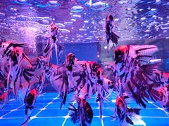 -中环花鸟鱼虫市场