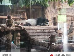 -泉州海丝野生动物世界