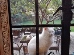 -马勒别墅·中餐厅