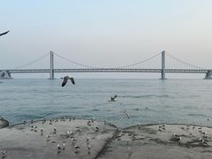 -星海广场