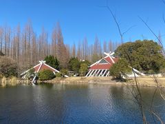 -东平国家森林公园