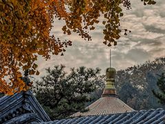-潭柘寺景区