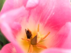 -南通洲际绿博园