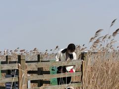 -吴淞炮台湾湿地森林公园烧烤区