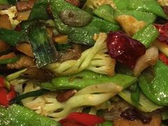 -沪碟·精菜坊(闵行店)