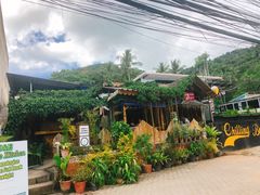 -Jungle Kitchen