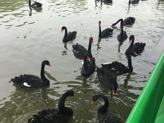 -长兴太湖图影湿地文化园