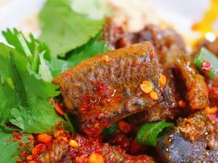 现刮鲜黄鳝-盖帮鳝鱼串串(东郊记忆店)