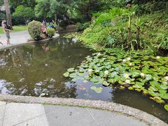 -晓港公园