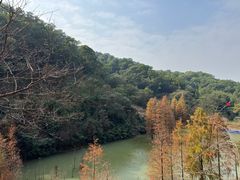 -广州市帽峰山景区