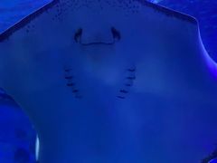 -石林冰雪海洋世界