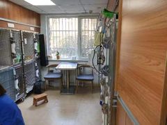-宠福鑫动物医院·动物疾病诊疗中心(天通苑店)