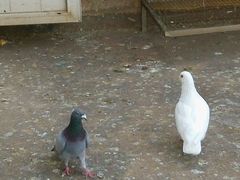 android_upload_pic-Dragonfly 悠庭·按摩Spa(苏州中心广场店)