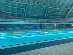 -二十一世纪饭店-游泳馆