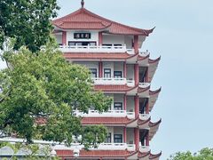 -旺来排档