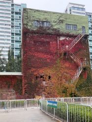 -Oasis Beauty水磨坊科技美肤中心