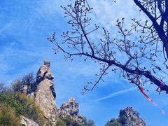 -秦岭终南山世界地质公园翠华山景区