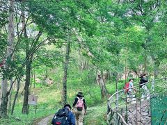 -南京市无想山景区