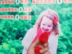 -大自然农场蔬菜草莓采摘园