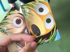 -小熊维尼历险之旅