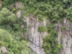 -苏家坨柳林村二月兰花海