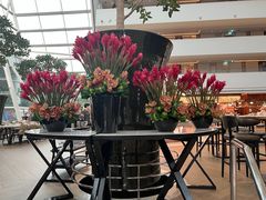 -RISE RESTAURANT(滨海湾金沙店)