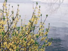 -浙江西子宾馆·瑶园咖啡厅