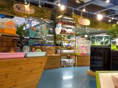-龟与熊猫宠物公园(南坪店)