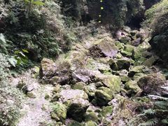 -武隆天坑地缝国家地质公园