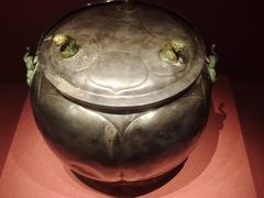 -陕西自然博物馆