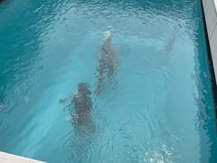 -金泽21世纪美术馆