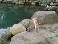 -白马涧龙池景区