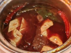 -蒙都43°9羊火锅(平庄店)