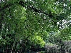 -采石矶景区