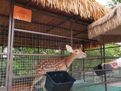 -珠海海泉湾神秘岛亲子乐园